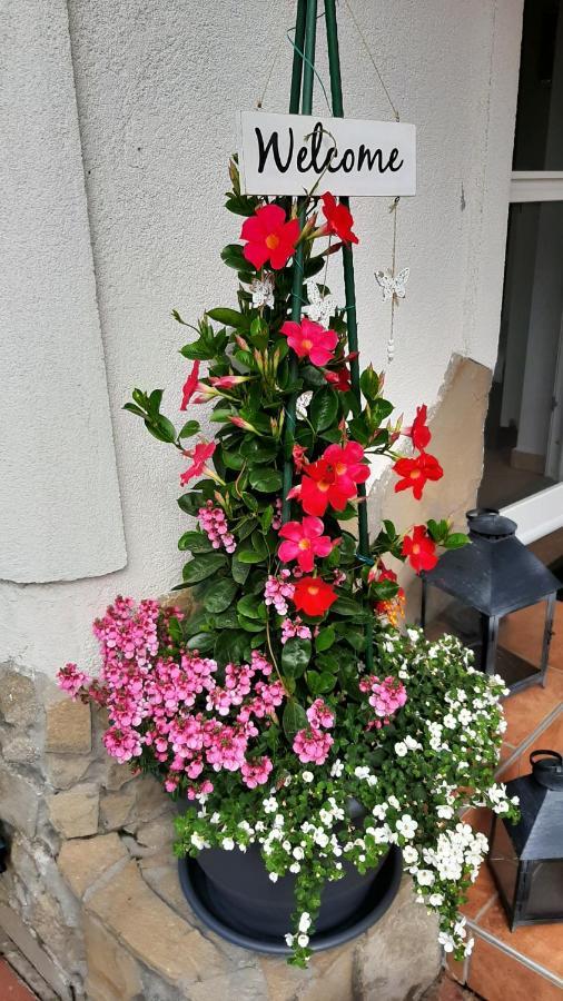 Munkacsy Apartmanok Balatonfenyves Luaran gambar